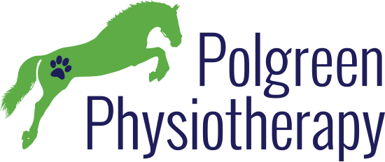 Pologreen Physiotheraphy